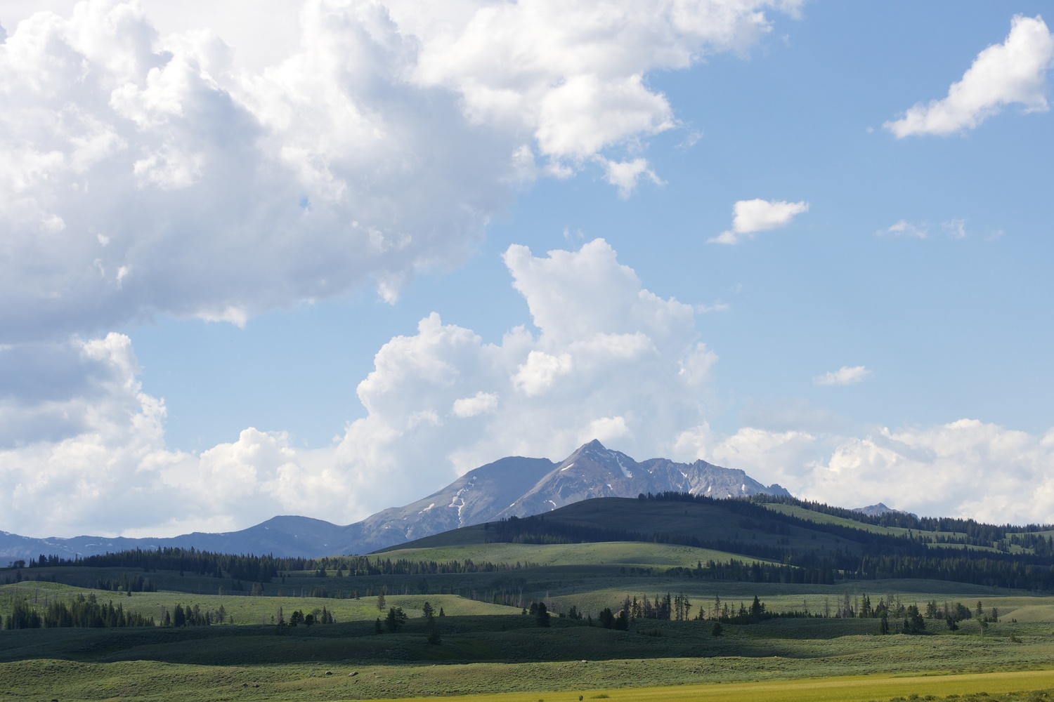 Yellowstone Landscape