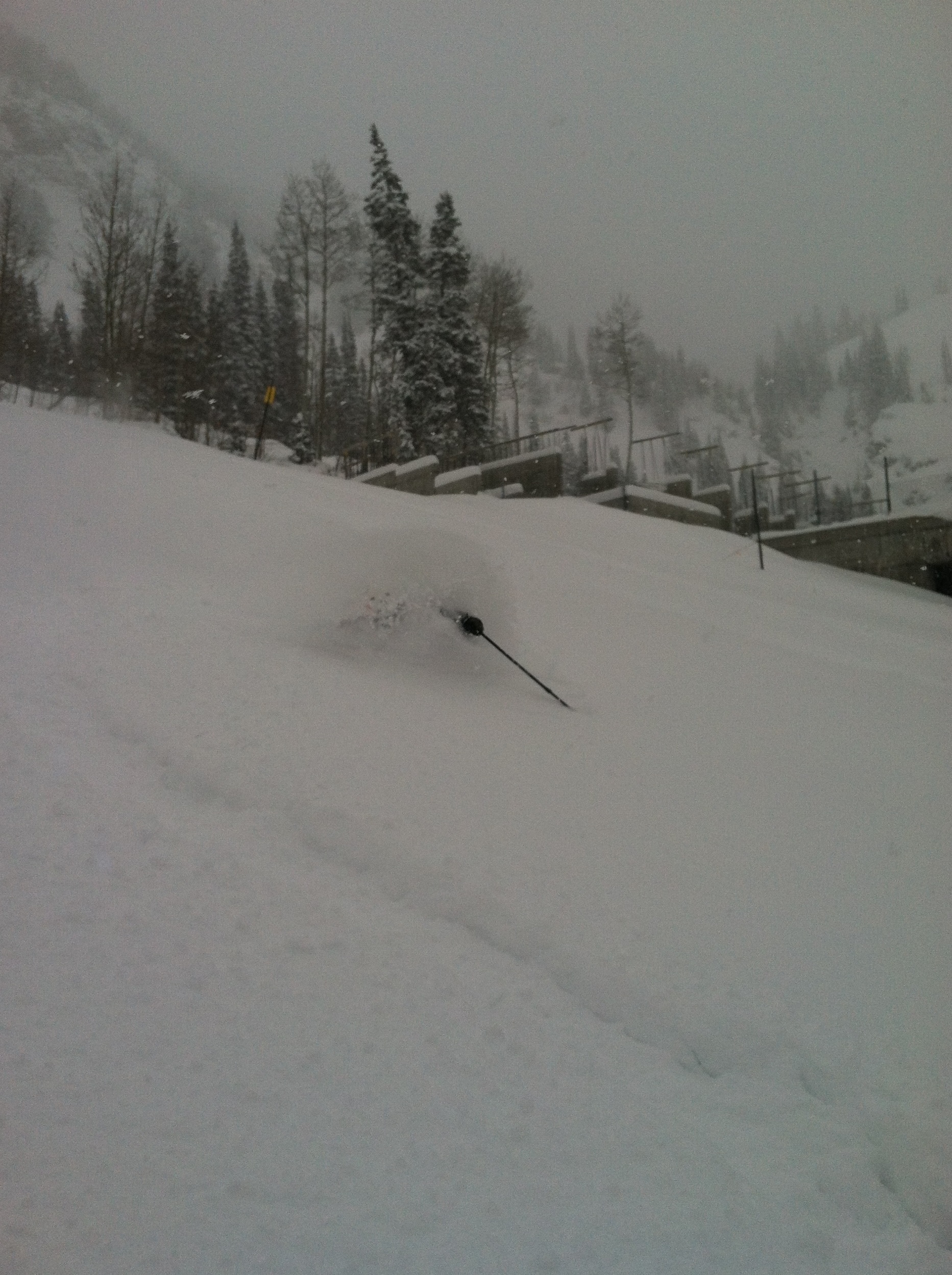 Yesterday @ Snowbird