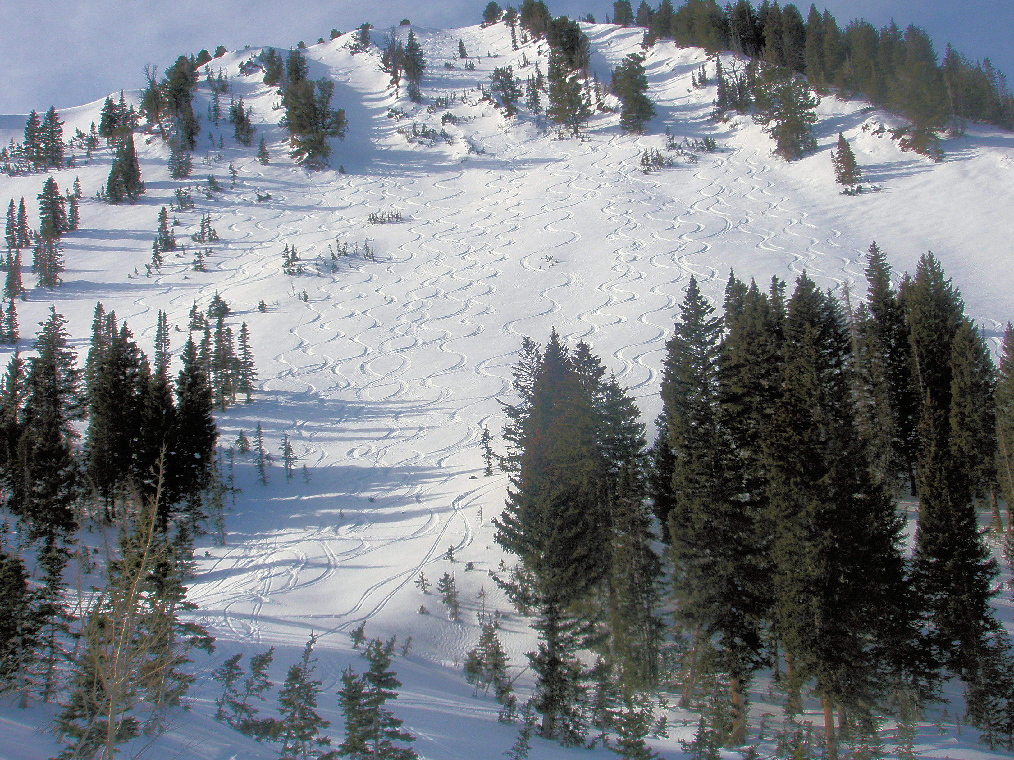 Yesterdays turn farming