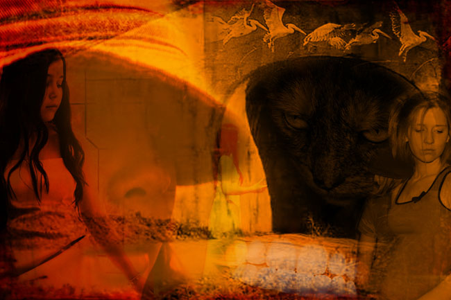 You figure it out...