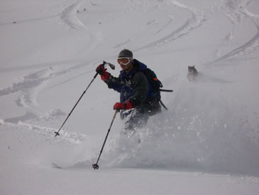 You get chased by wolfs if you ski here, so don't come