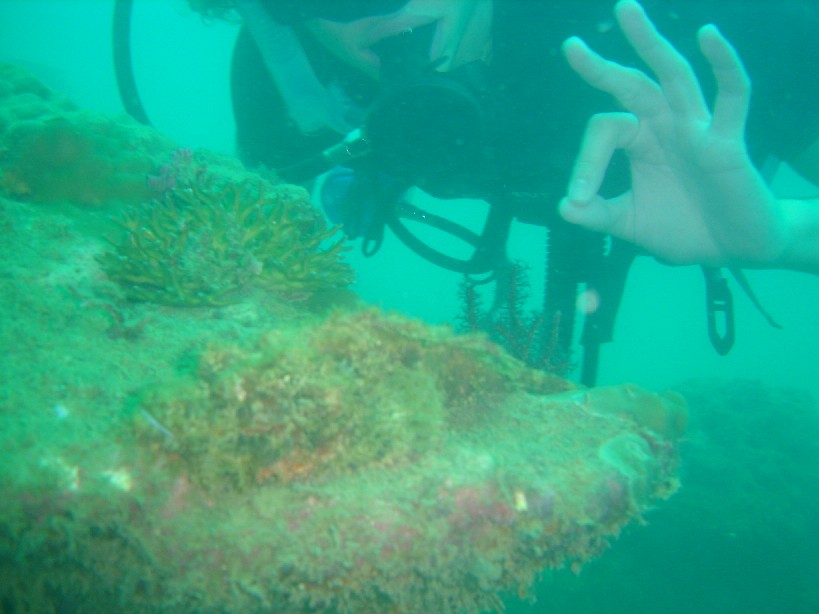 you gotta find the thing, i almost did the wrong way, with my hand