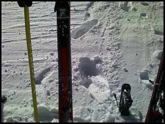 You Know Your Fat When...