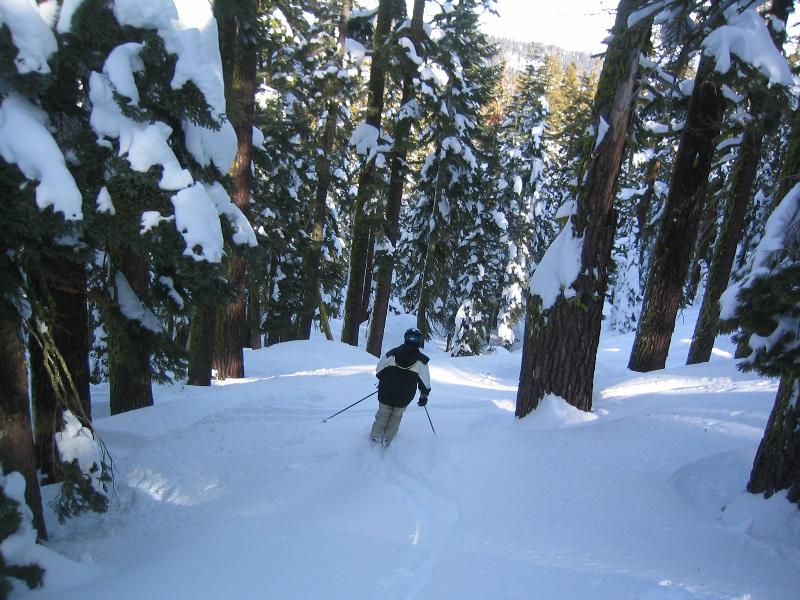 YOU LIKE POWDER?  I LIKE POWDER!