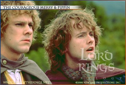 Zach Davison is Merry Pippin