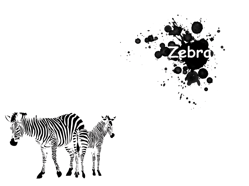 Zebra 2