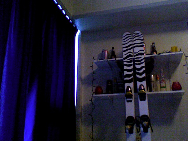 Zebra skis, top2